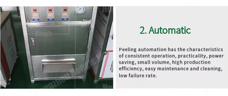 1000 Kg/H Smart Newest Design Garlic Peeler Machine Full-Automatic Commercial Garlic and Ginger Peeling Machine Price manufacture