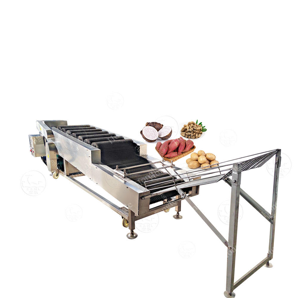 Veg Washing Machine: Ultimate Fruit & Vegetable Cleaner | Remove 99% Pesticides & Germs
