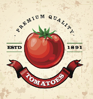 Fabrication de ketchup : Guide complet de la tomate fraîche au produit fini