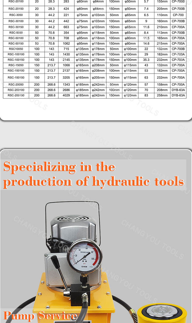 rsc 30100 30 ton hydraulic cylinder ram-2