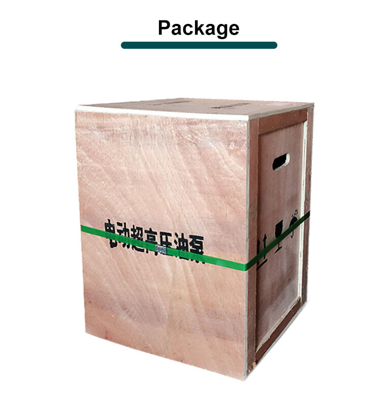 db150 d1 single action 700 bar high voltage electric pump for hydraulic applications-10