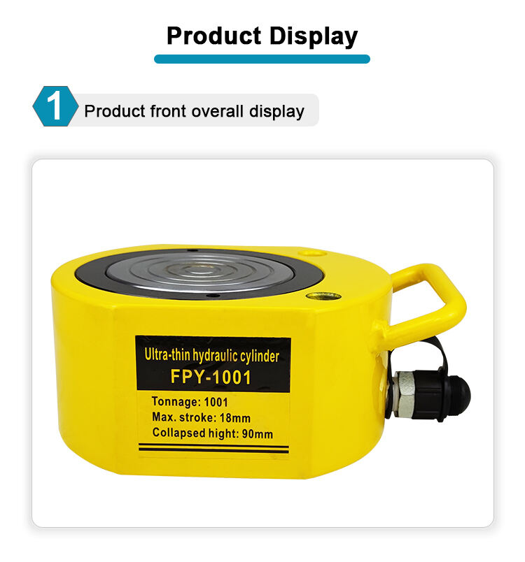 fpy 1001 100ton micro hydraulic jack cylinder-5