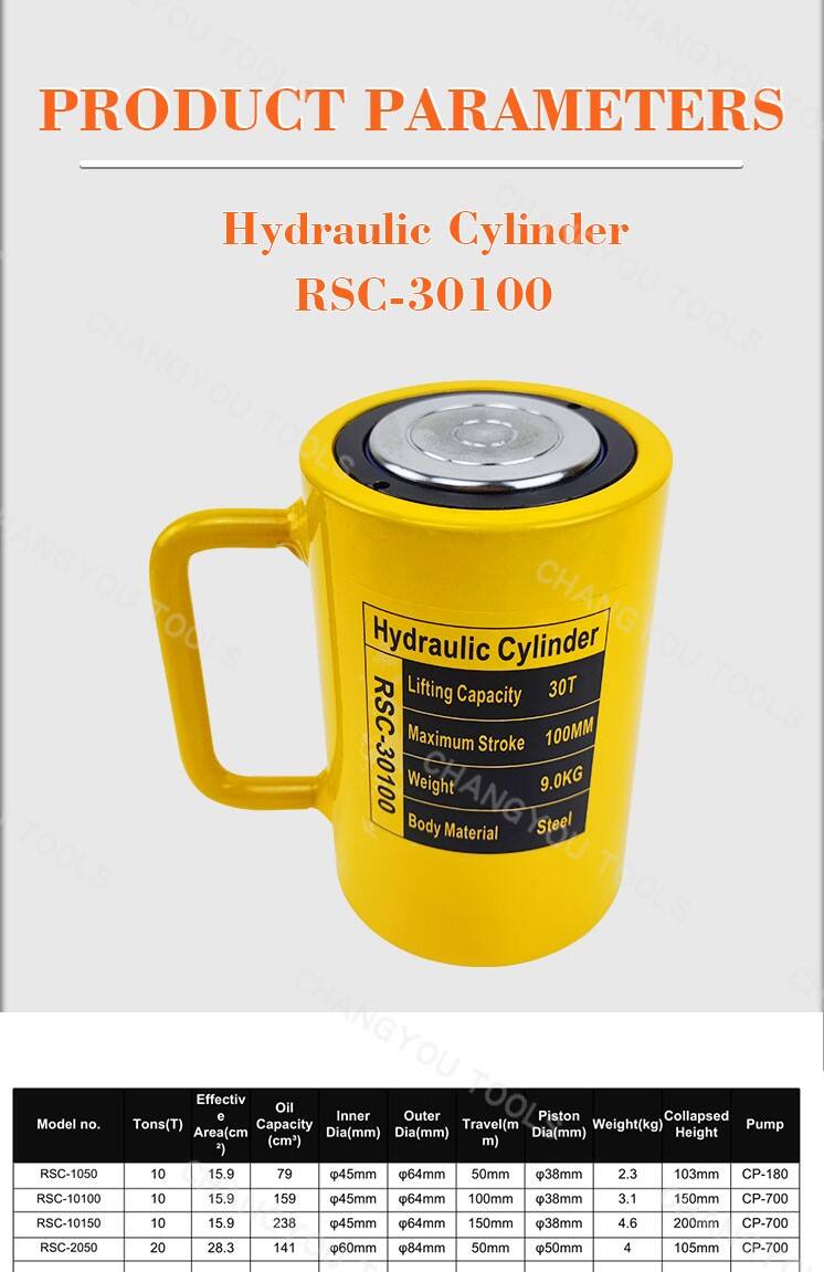 rsc 30100 30 ton hydraulic cylinder ram-1