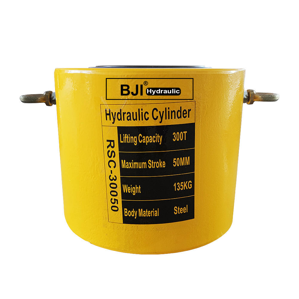 RR-30050 Dobbeltvirkende 300 Ton hydraulisk stempelcylinder