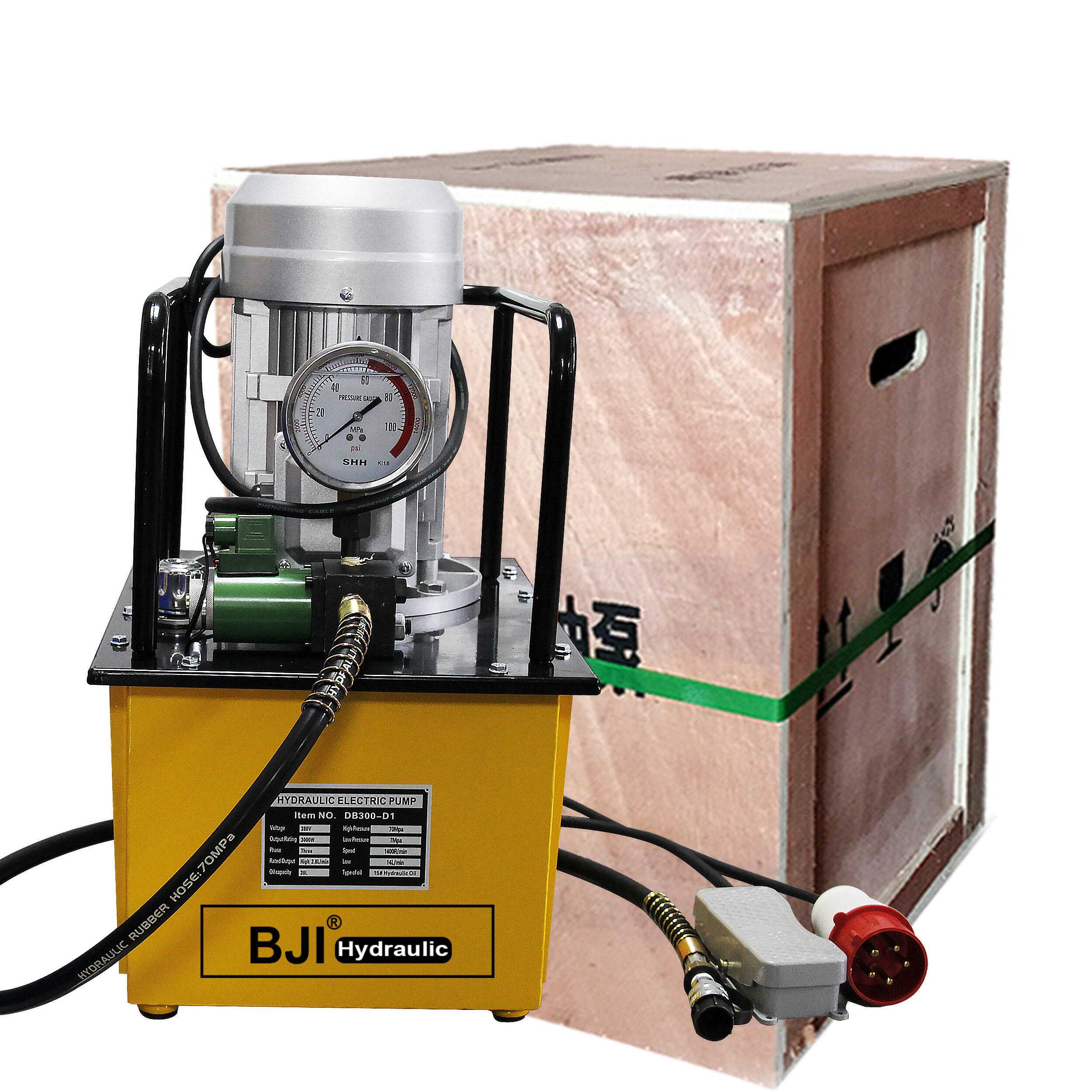 DB300-D1 Electric Hydraulic Pump 30L 3.0kw Auto Single Acting Power Pack 700bar Pump Station Price