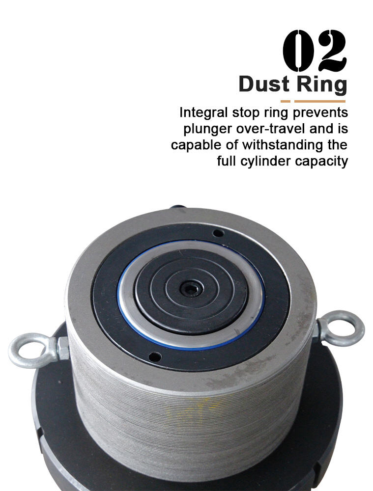 rr 100200 100ton 200mm stroke lock nut hydraulic press cylinder-9