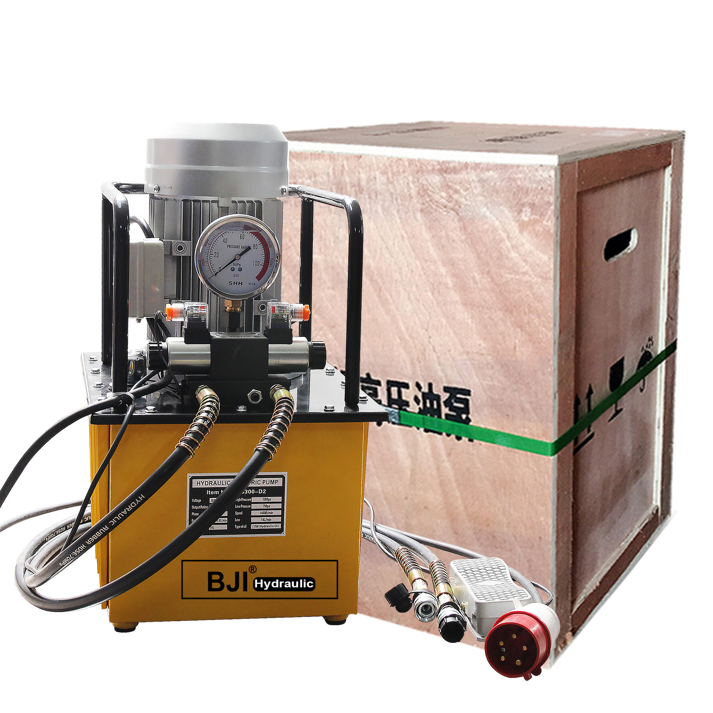 DB300-D2 3KW Double-Acting High Power Electromagnetic Electric Pump Metal Magnetic Drive Pump Oils 60Hz Application