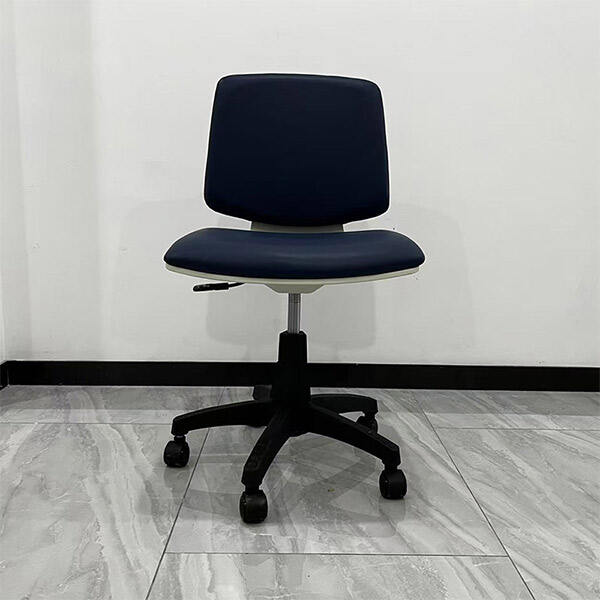 अनुकूलन योग्य विकल्प