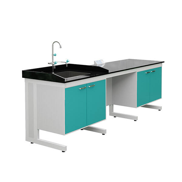 स्कूलों के लिए प्रीमियम लैब टेबल: सीखने के वातावरण को बढ़ाएं