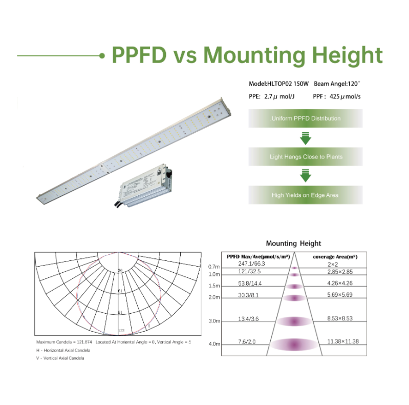Transforme sus prácticas hortícolas con nuestras luces LED para cultivo