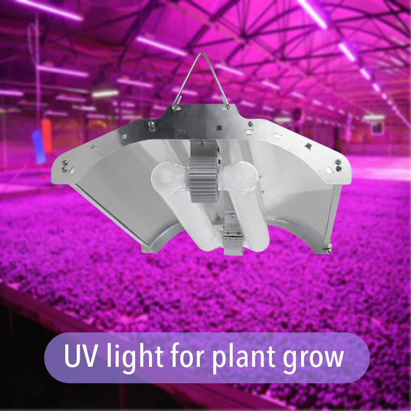 Améliorez la croissance de vos plantes grâce aux solutions d'éclairage UV