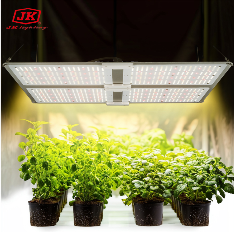 Luz de cultivo JK personalizable: Soporte OEM/ODM y soluciones adaptadas
