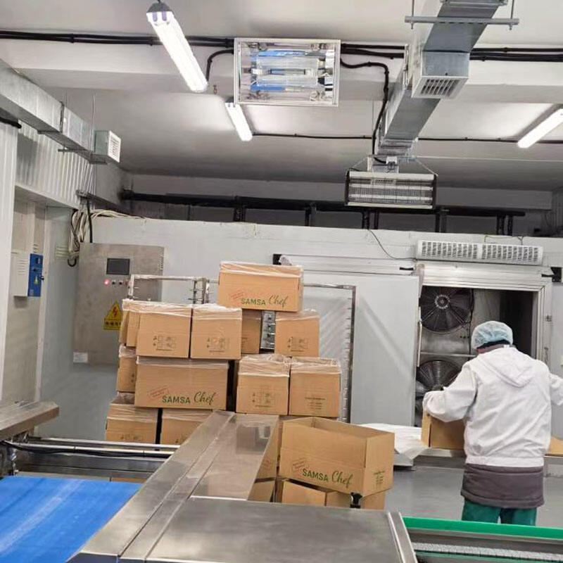 UVC in food process line