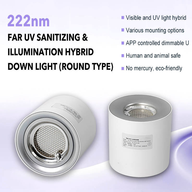 Purificateur d'air à UVC lointain : Technologie avancée de désinfection pour des environnements plus sûrs