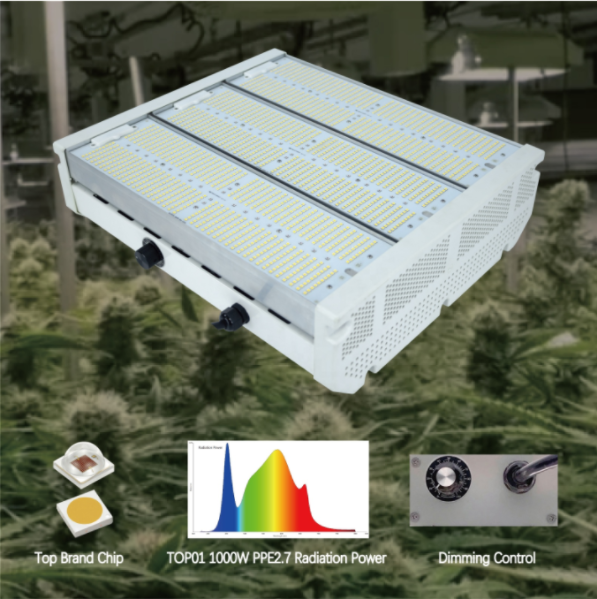 Ilumina Tu Crecimiento con Luces de Cultivo de Espectro Completo