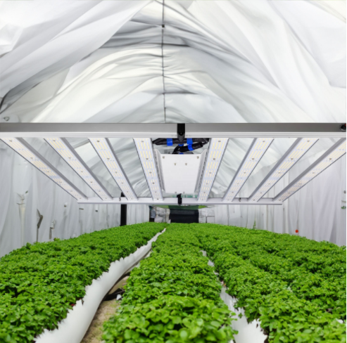 Ilumina Tu Jardín Interior con Nuestras Luces de Cultivo Avanzadas