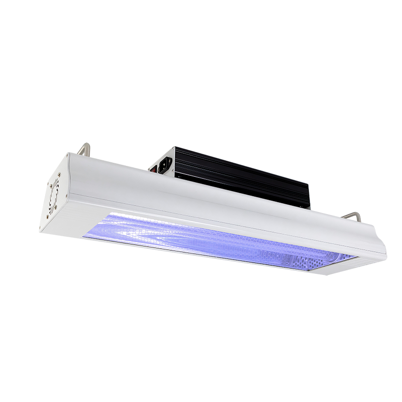 Design Écologique et Durable