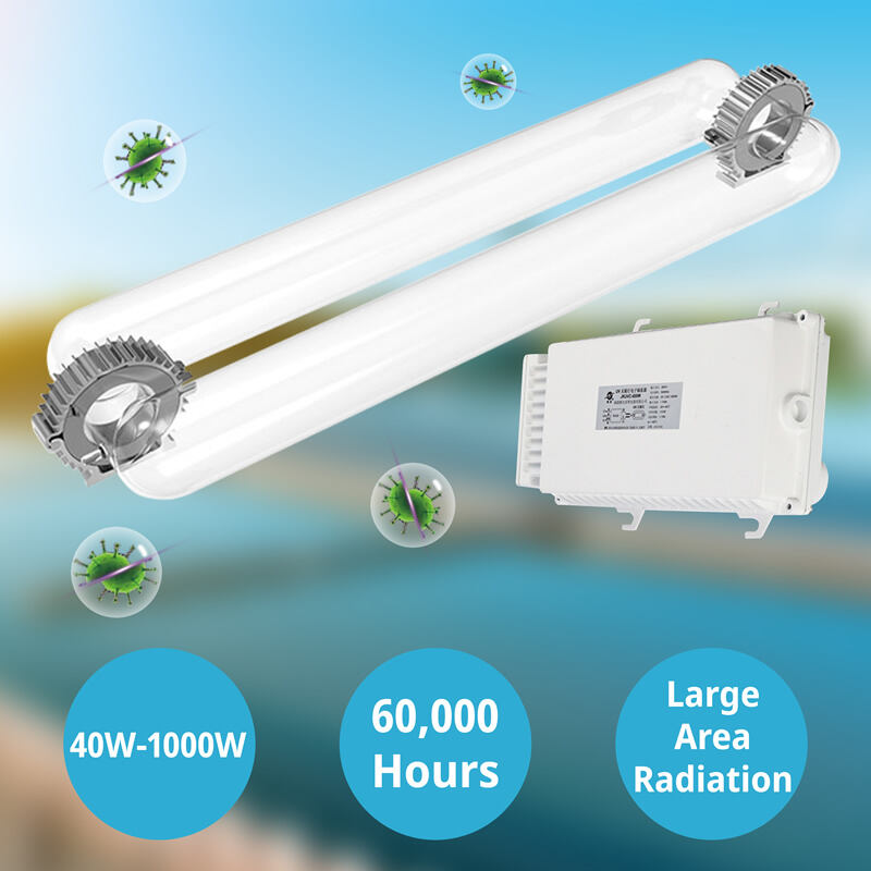 Harnessing Ultraviolet Light for Effective Disinfection