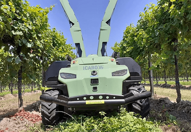 Robot UVC för vinförädling
