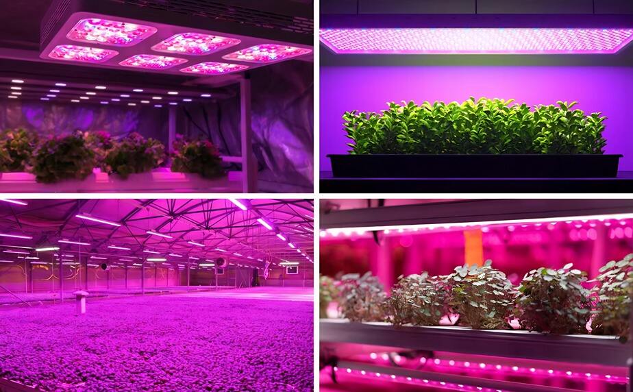Led Grow Light