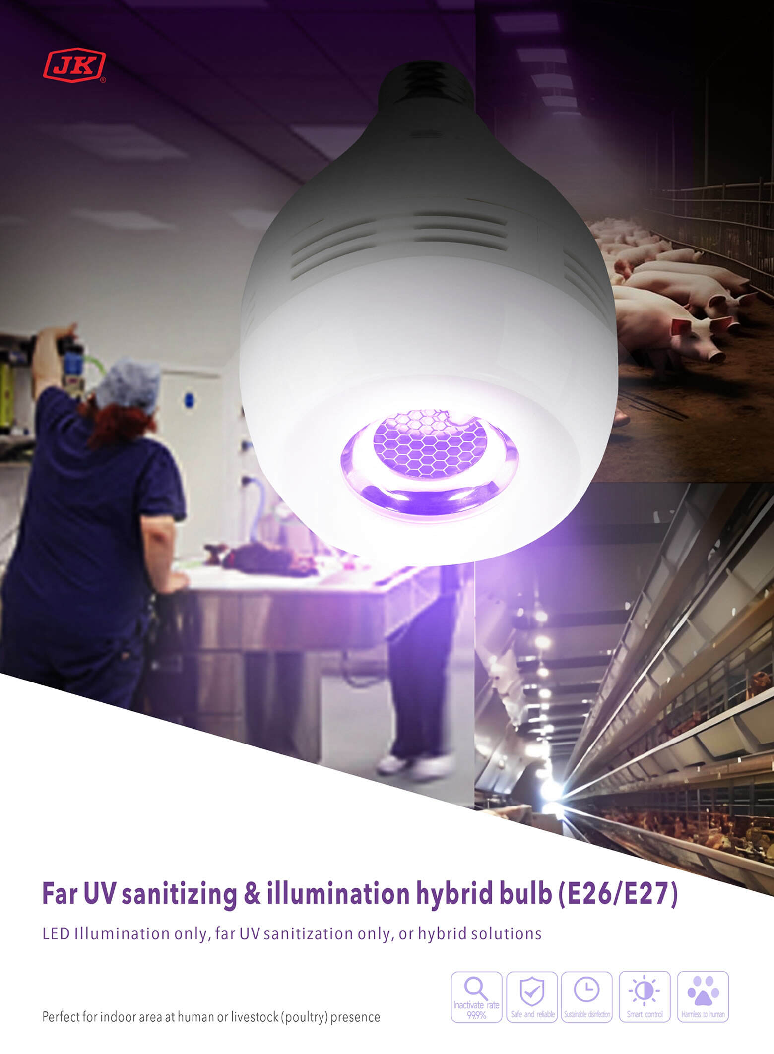 Far UV sanitizing & illumination hybrid bulb_1.jpg