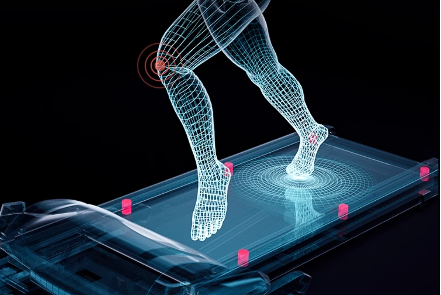 Personalized Rehabilitation Training