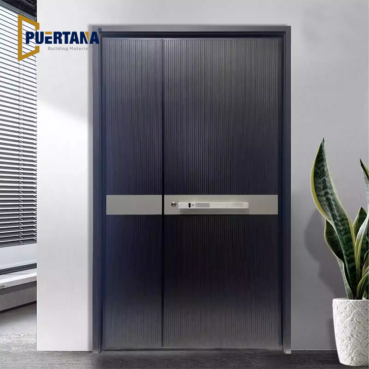 Elegant Aluminum Front Door with Reinforced Security
