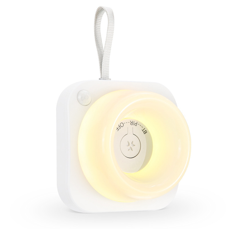 app control motion sensor light