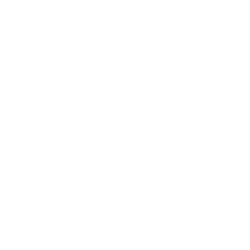 Dual Patents for an Ultimate Experience