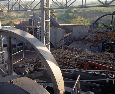 Sugar industry chain