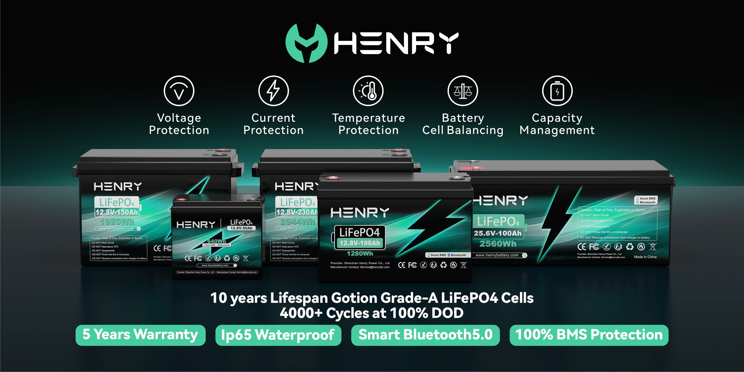 Professional Manufacturer