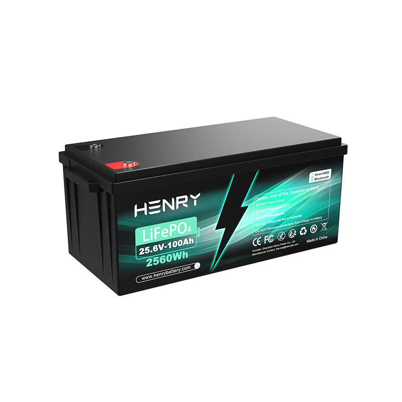 25.6v-100Ah LiFePo4 Battery Pack