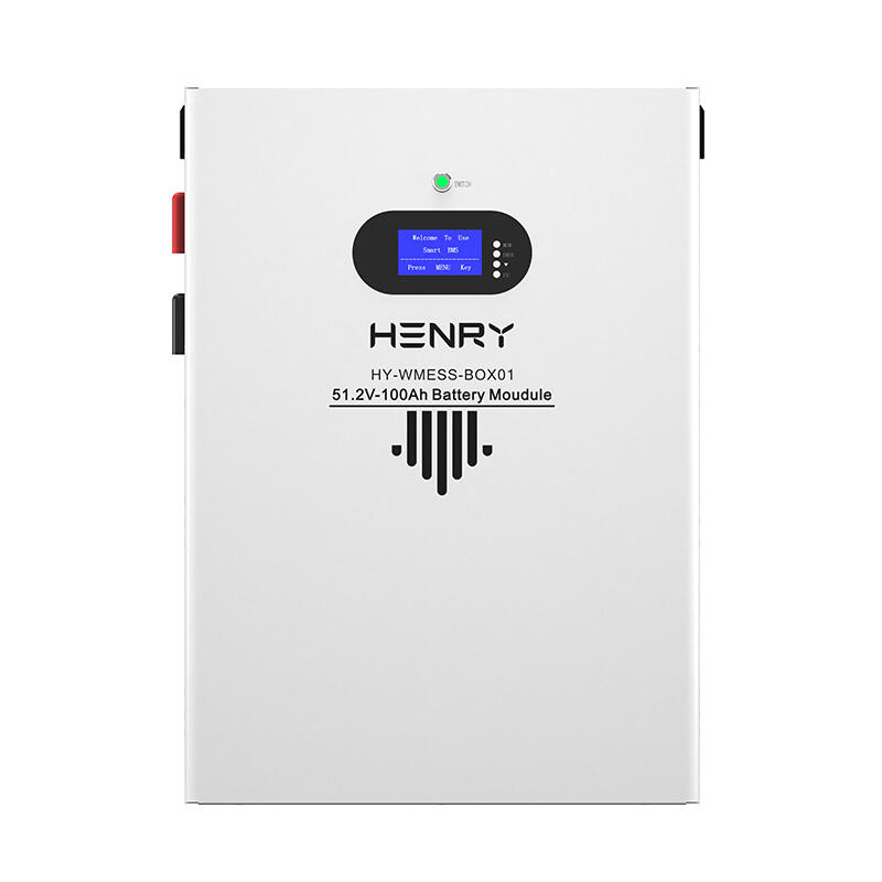 Energy Storage System 100Ah 200Ah 300Ah 400Ah 500Ah Lithium ion Battery 48V 51.2V Rack Mounted LiFePO4 Battery for ESS