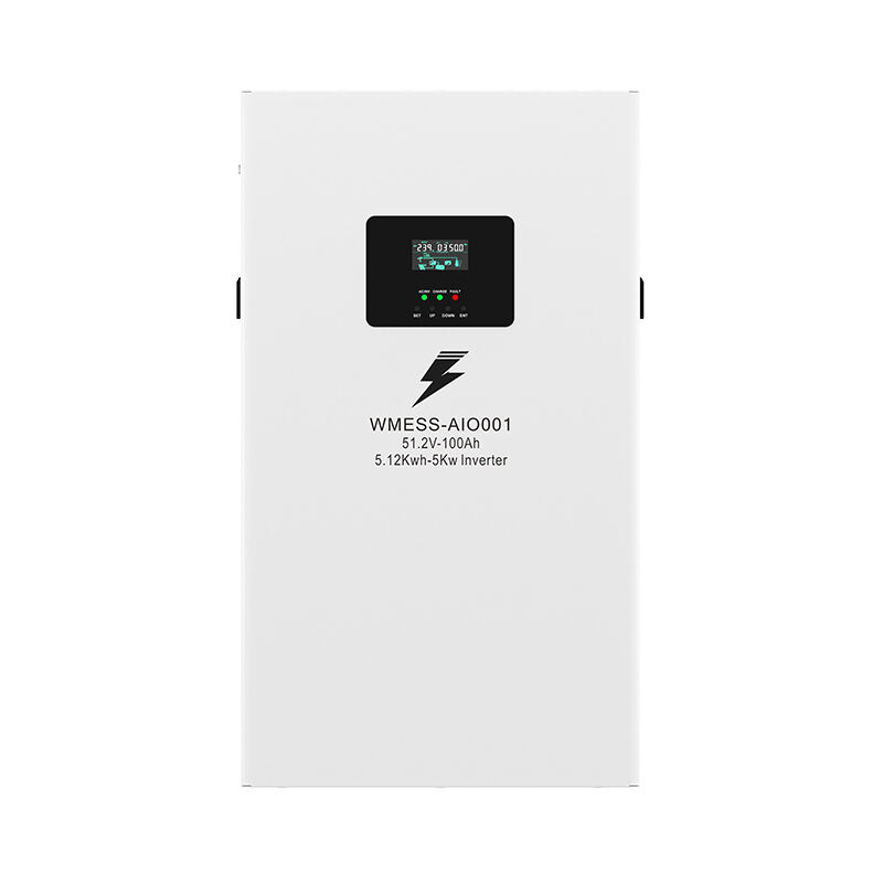 Wall mounted 5KWh energy storage system