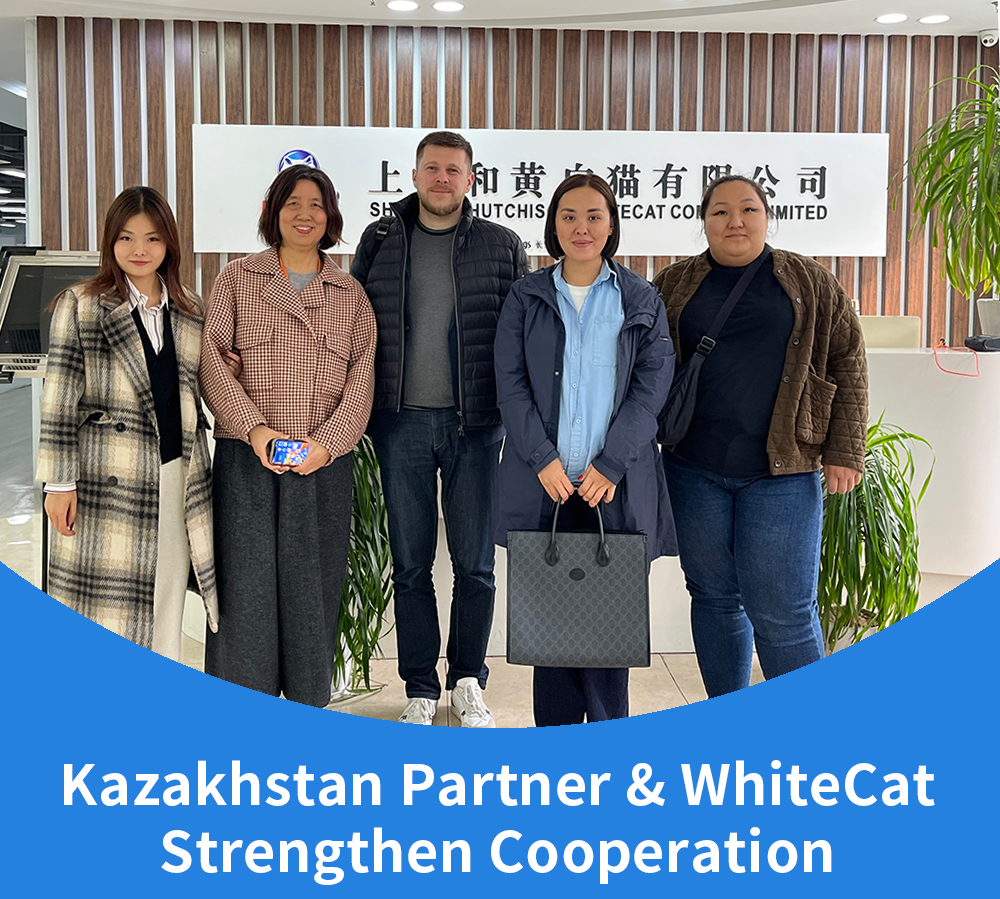 WhiteCat's partner from Kazakhstan traveled a long way to visit WhiteCat's headquarter in Shanghai, and all the staff warmly welcomed the arrival of the partner.