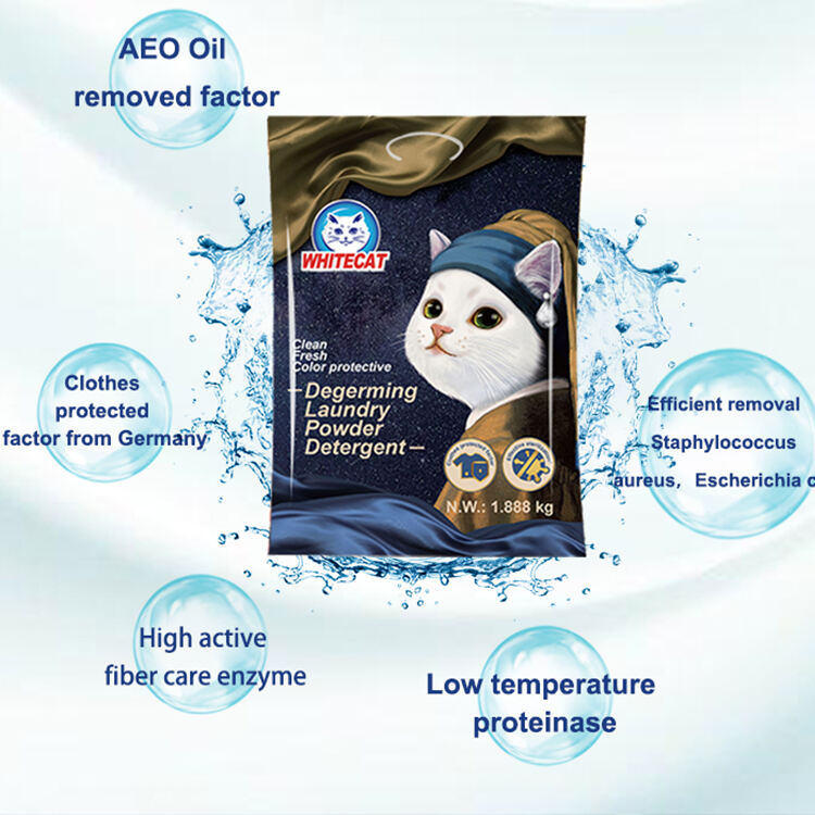 The Leading Choice for Effective Laundry Cleansing