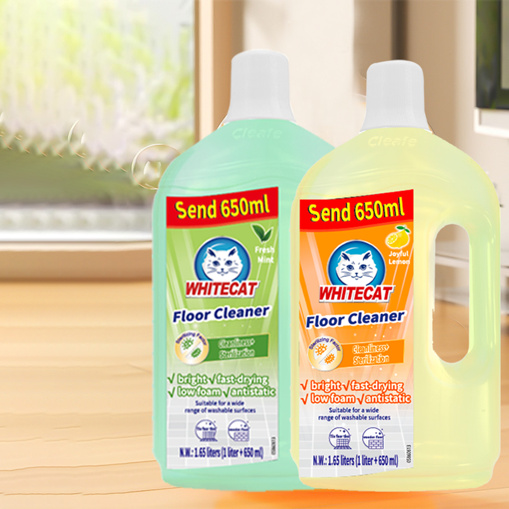 Unmatched Protection Against Mold Growth