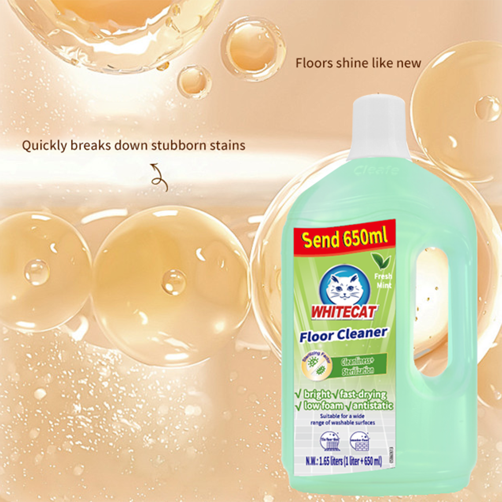 Advanced Mold Prevention Technology