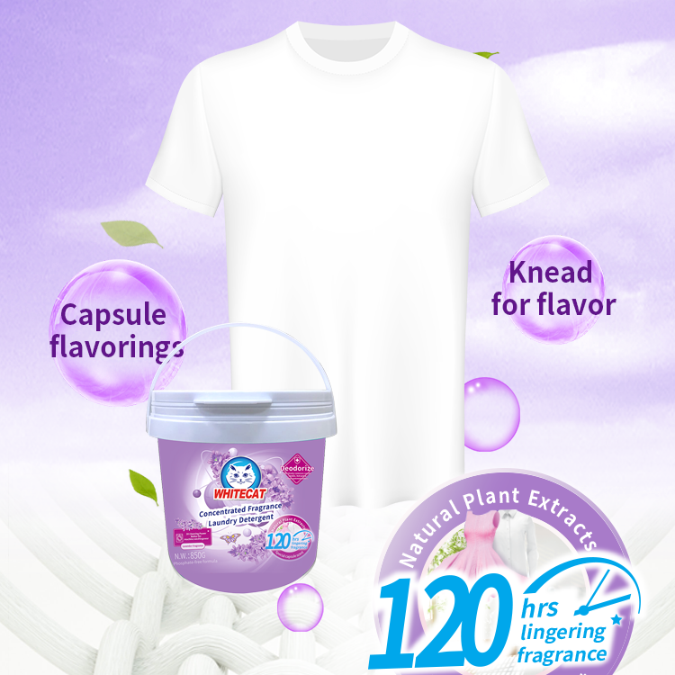 The Leading Choice for Laundry Detergent