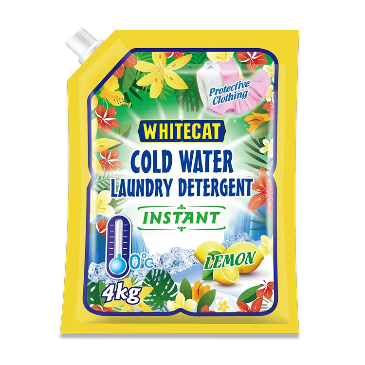 Laundry for All: The Wide Range of Laundry Powder Options