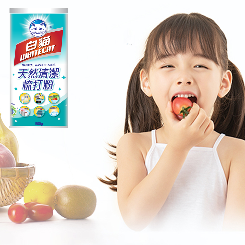 Advanced Allergy Protection