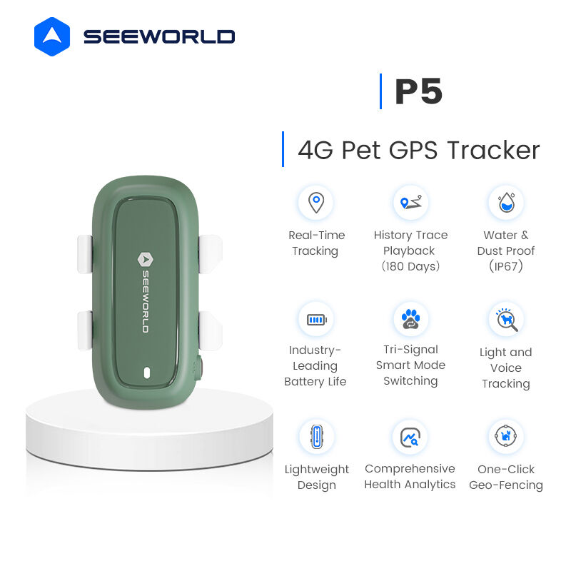 Where Can You Find Affordable Canine GPS Trackers for Resale?