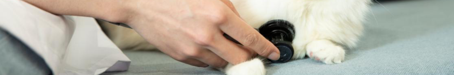 เกี่ยวกับเรา