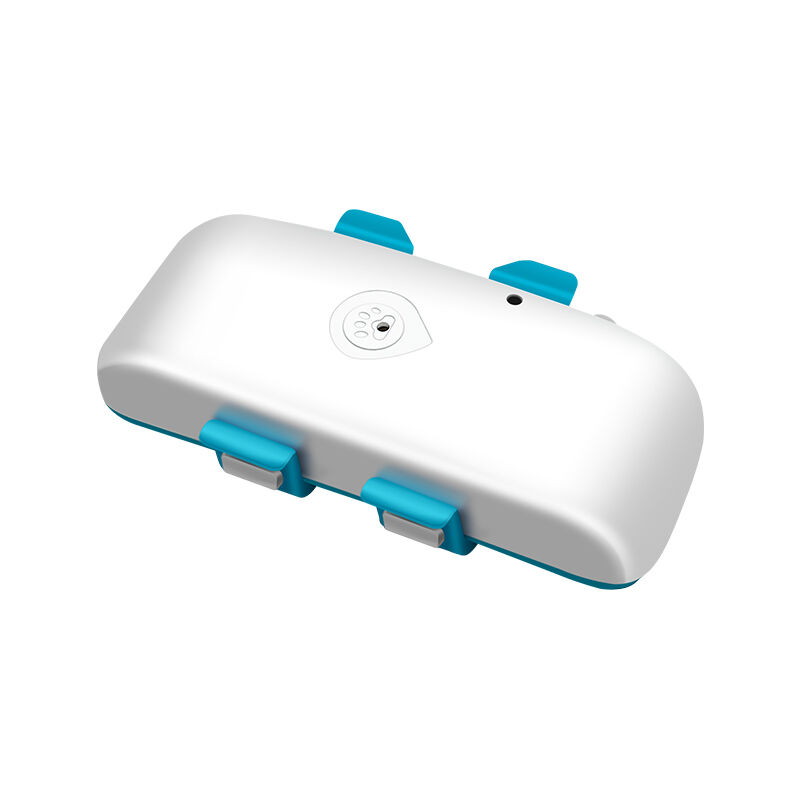 How to Choose the Right GPS Dog Tracker for Your Needs