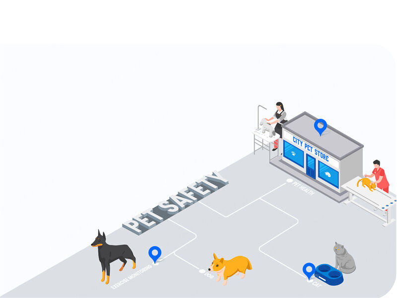 สัตว์เลี้ยง / ปศุสัตว์