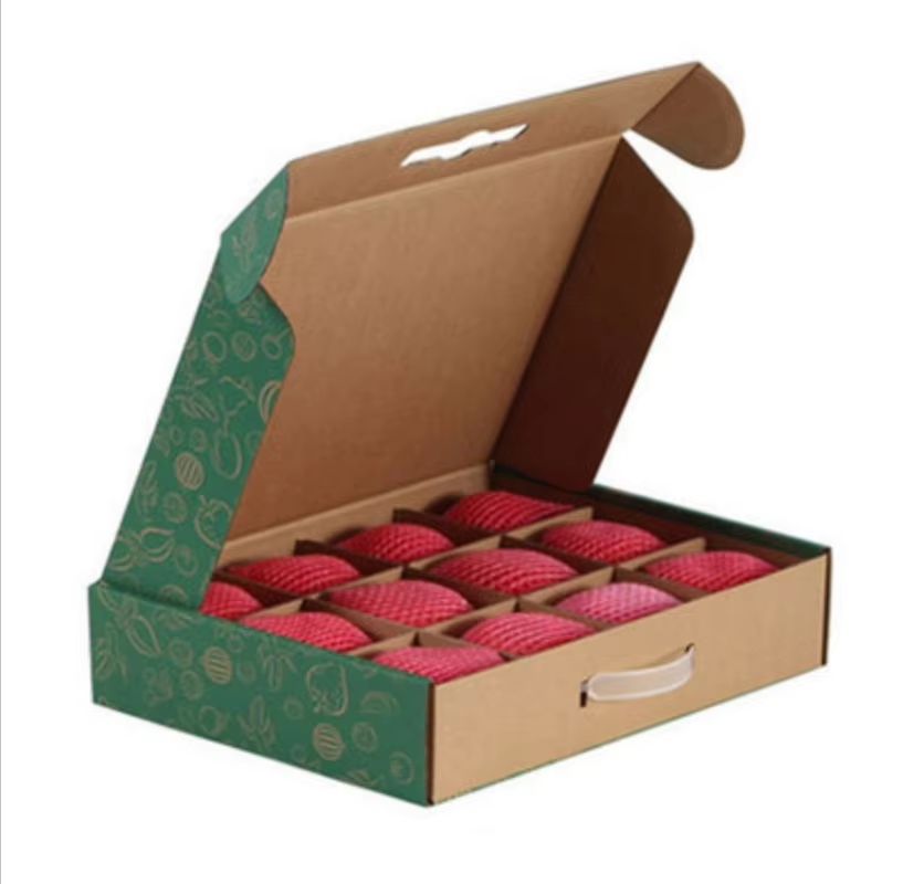 Environmental Sustainability and Economic Efficiency