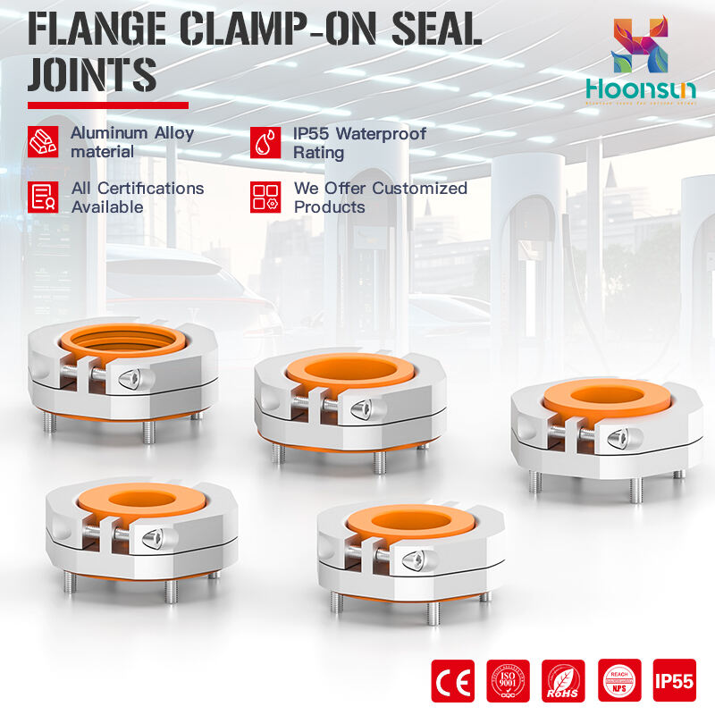 Flange Clamp - on Seal Joints