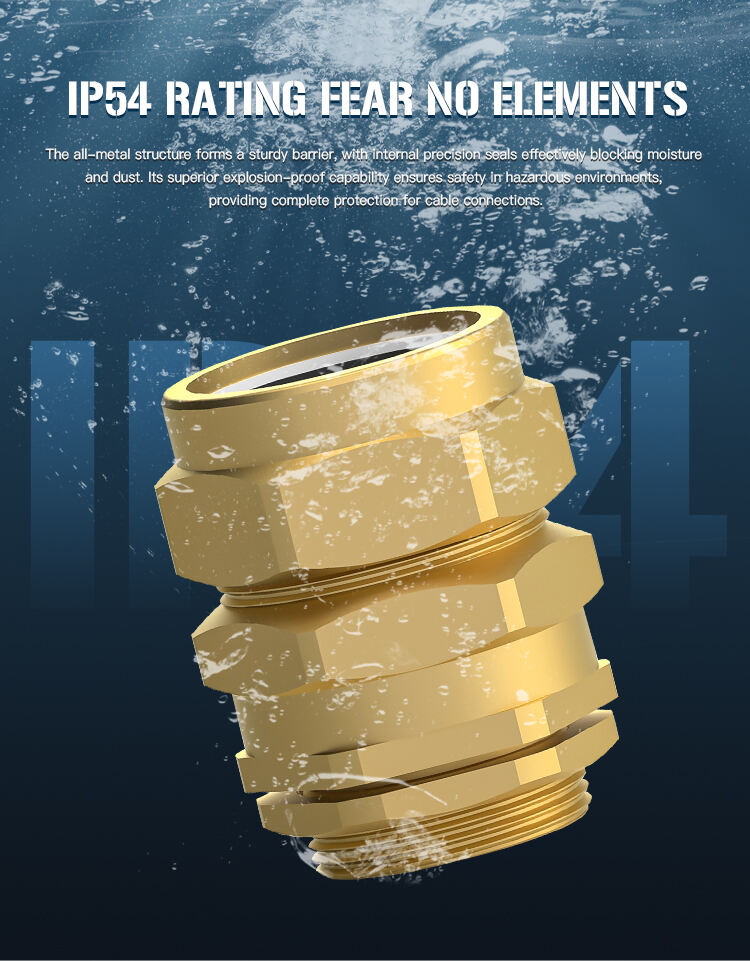 防爆电缆夹紧密封接头(Explosion-Proof-Cable-Clamp-Sealing-Joint)-CW_07.jpg
