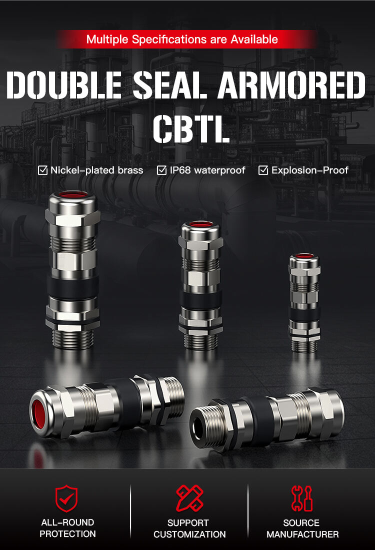 双密封铠装防爆填料函(Double-Seal-Armored-CBTL)_03.jpg
