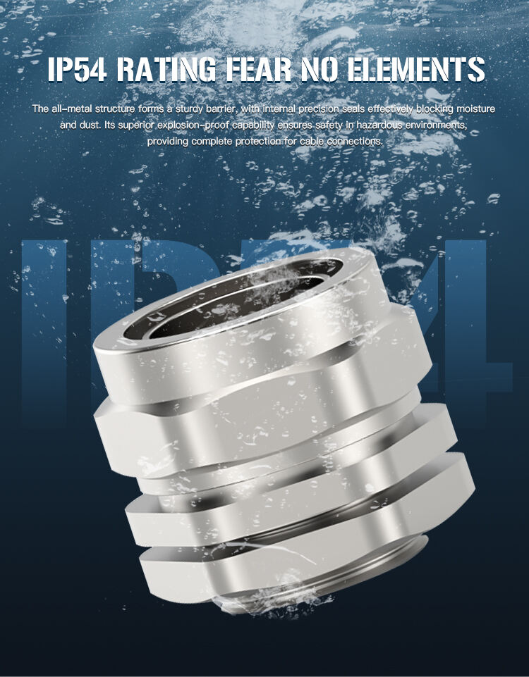BW铠装电缆接头(BW-Cable-Gland)_07.jpg